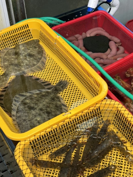 수산밀면 이미지