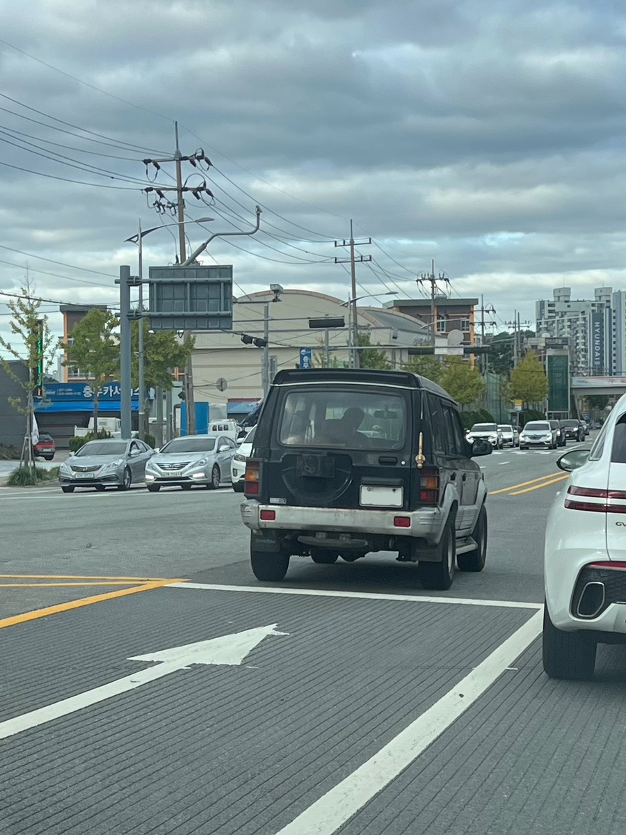 뉴훼미리자동차 이미지