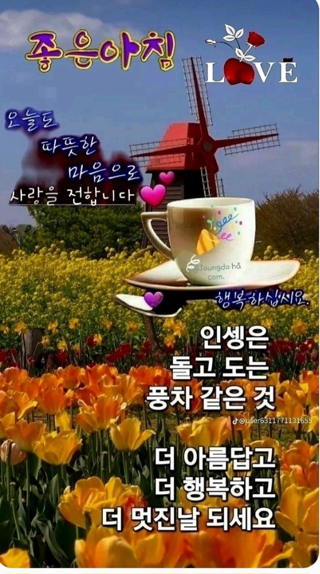 낭만포차한식점심부페 이미지