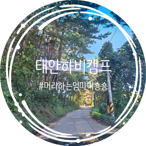 하비캠프 이미지