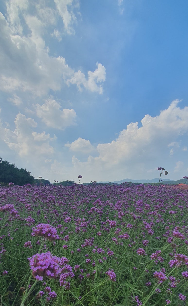 고읍동커피책방 이미지