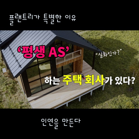 플랜트리 이미지