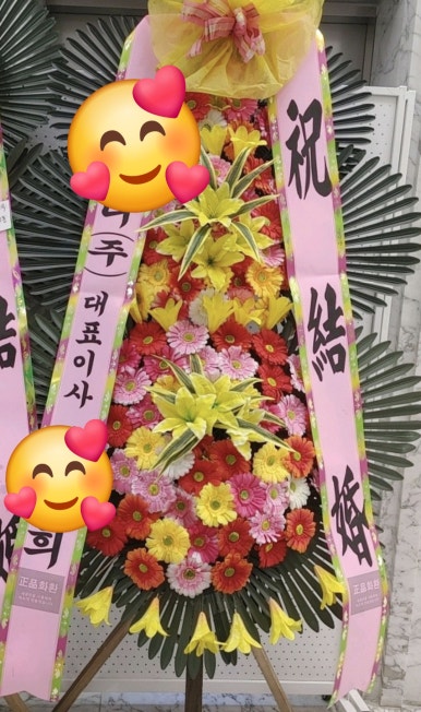 꼬시랑 이미지