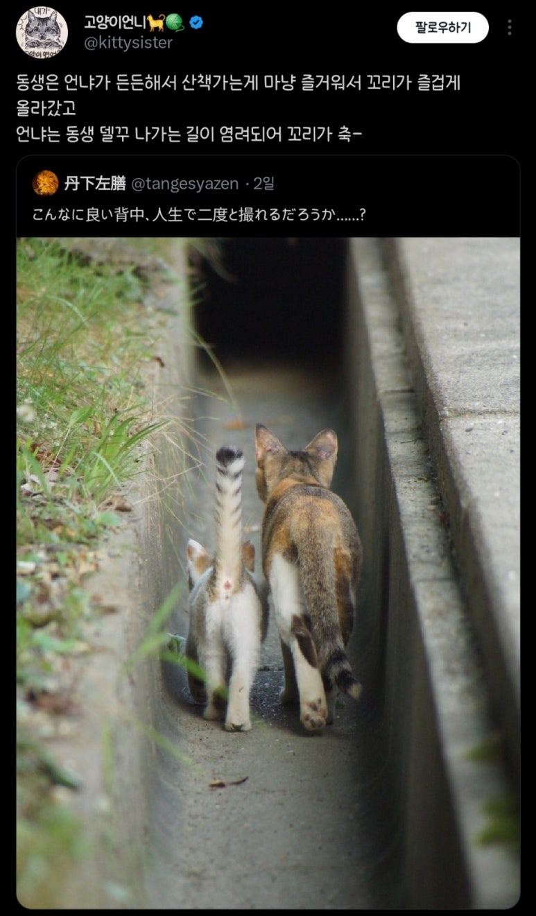 복*서 이미지