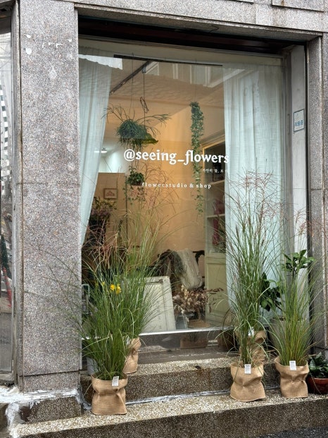 가만히꽃 이미지