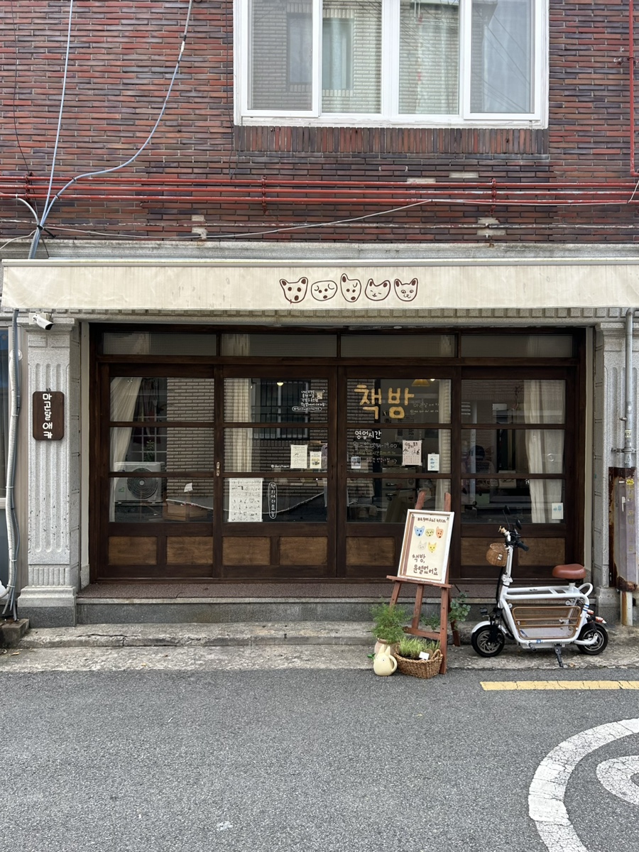 마곤달 이미지
