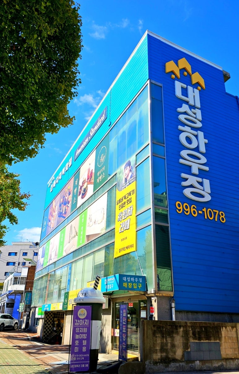 엘리지앙 이미지