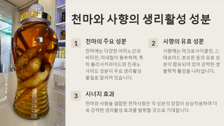 천마에너지 이미지