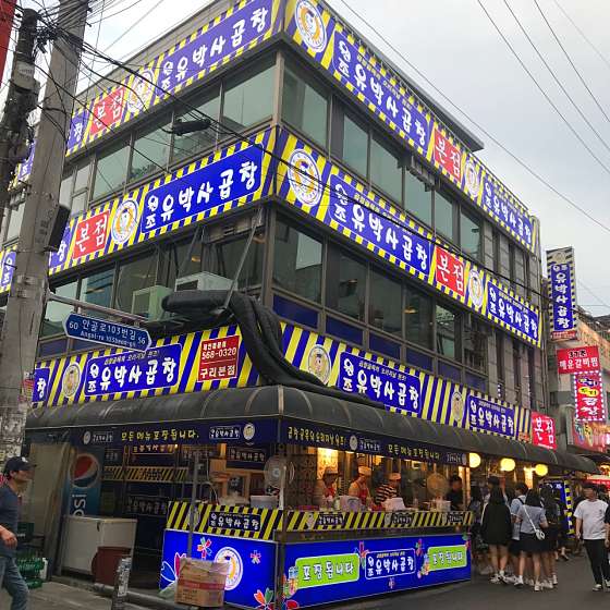 유박사 이미지