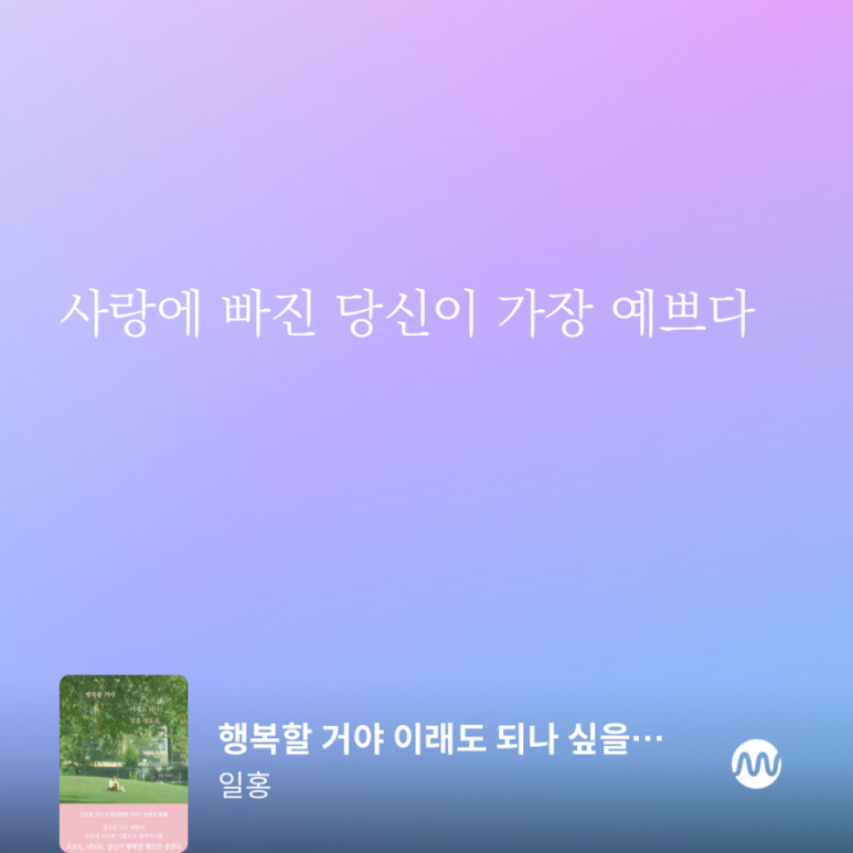 일홍 이미지