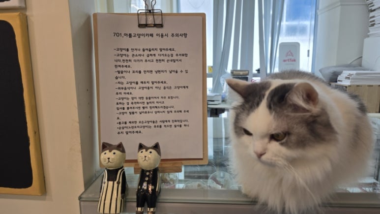 701아를고양이카페(cat in the art) 이미지