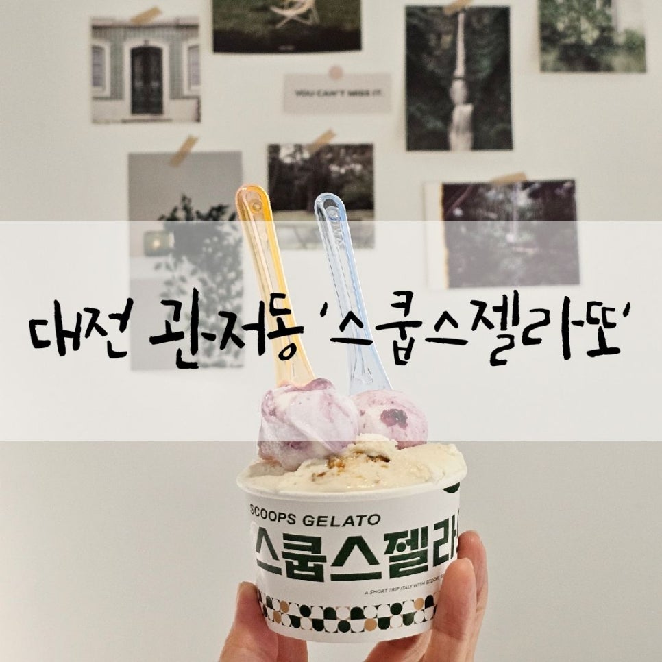 스쿱스젤라또 대전관저점 이미지