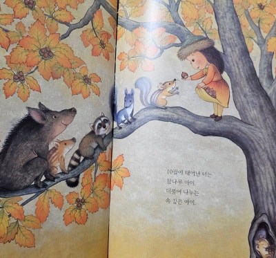 나무아이 이미지