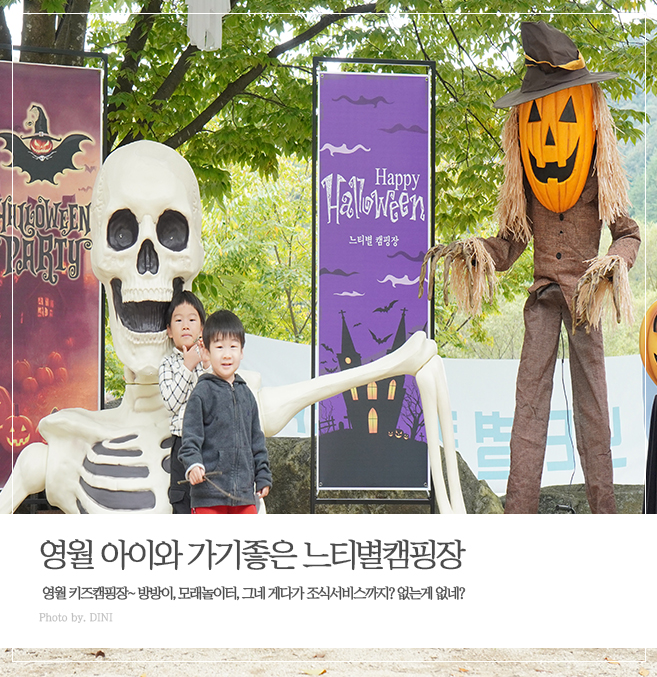 영월계곡 느티별캠핑장 이미지