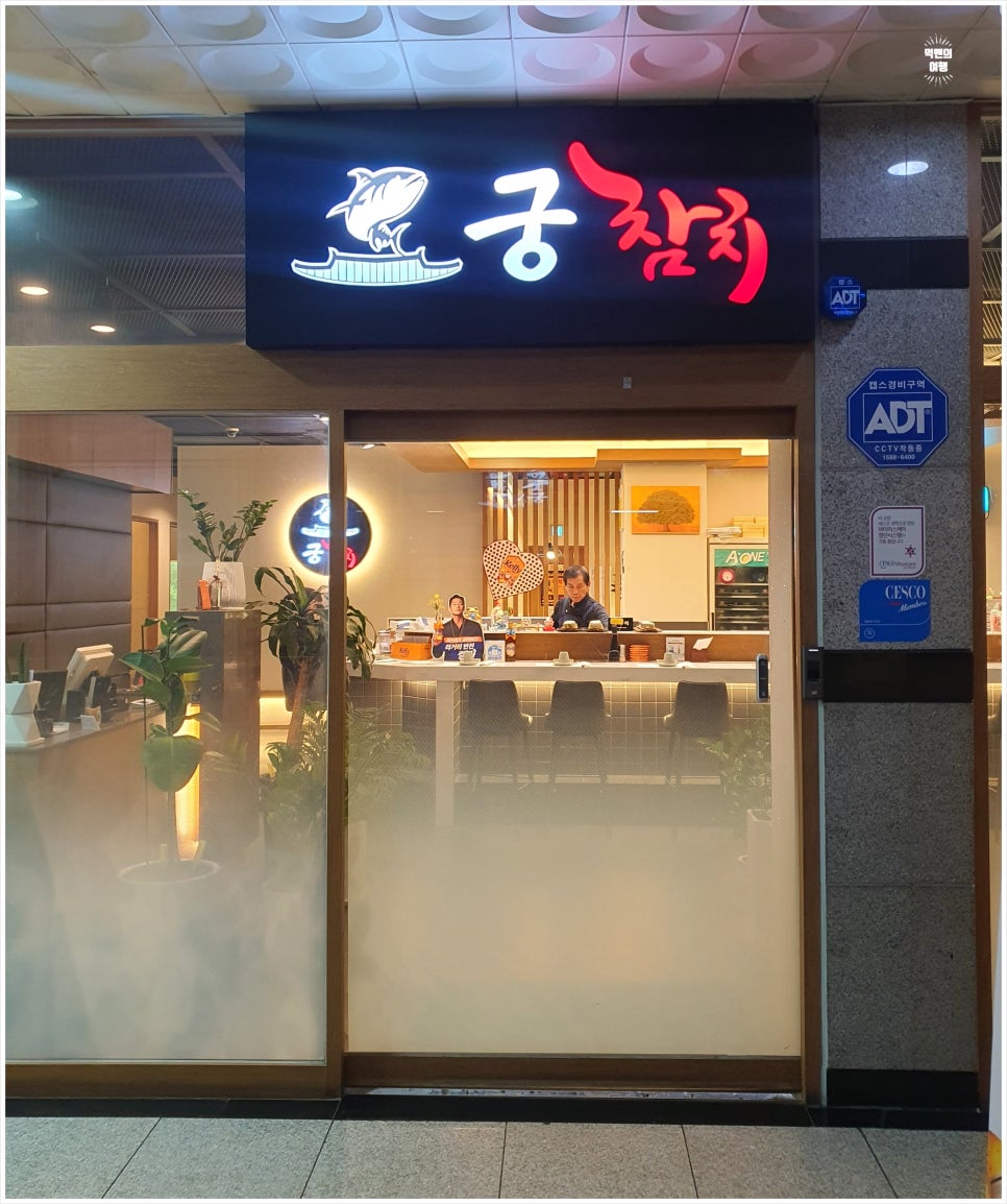 궁참치 이미지