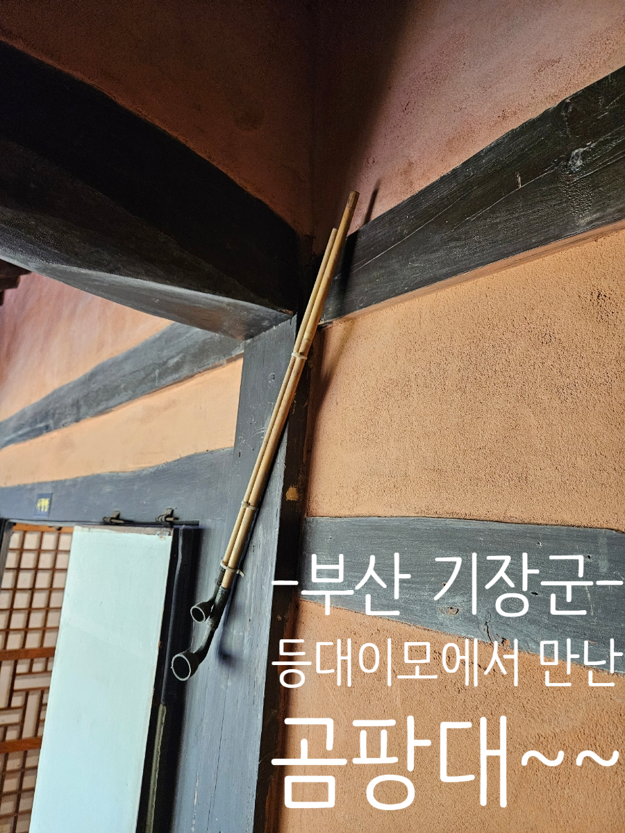 등대이모 이미지