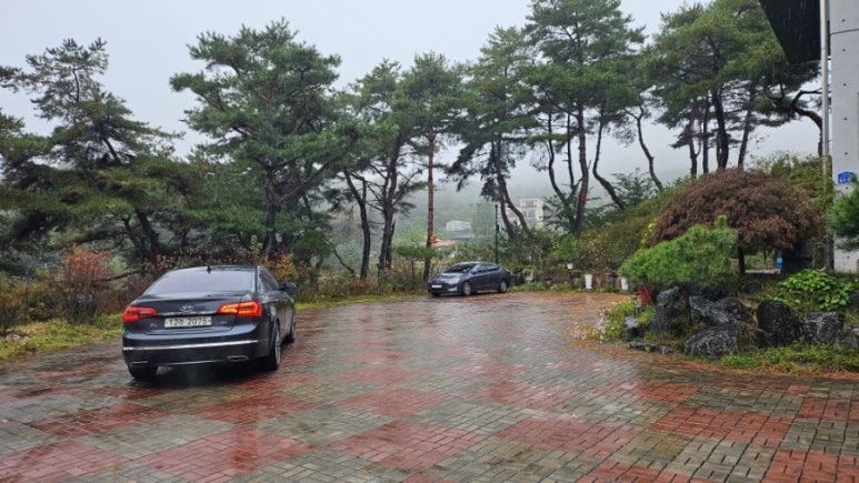 금베이숲 이미지