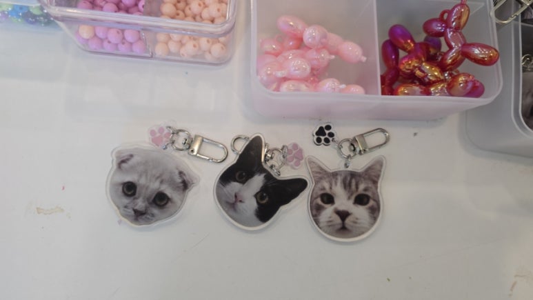 701아를고양이카페(cat in the art) 이미지