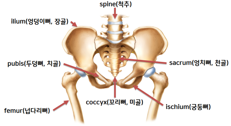 덕인에너지 이미지