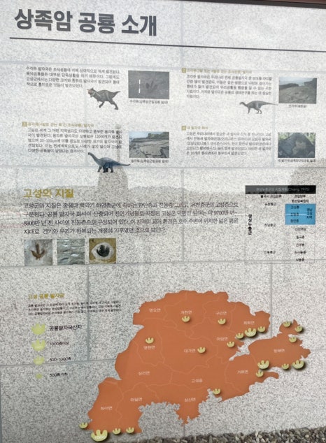 다이노 미디어 이미지