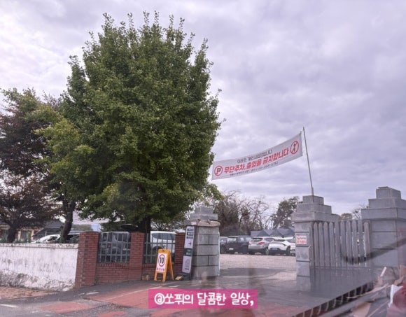 강주학교캠프 이미지