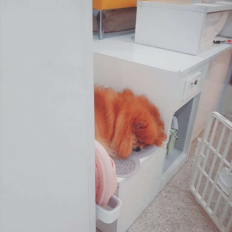 곰팅이네일 이미지