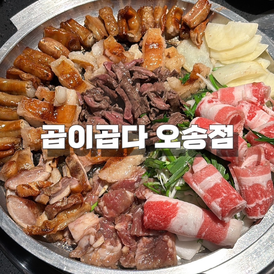 곱이곱다 이미지