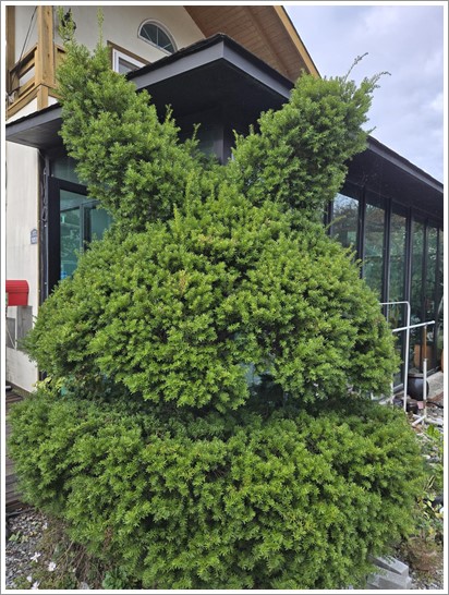 어린왕자펜션 이미지