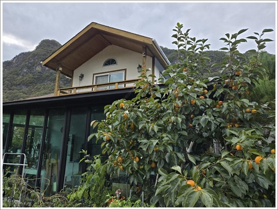 어린왕자펜션 이미지