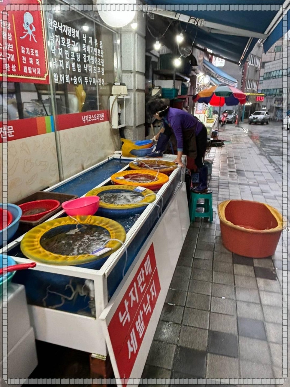남도뻘낙지 이미지