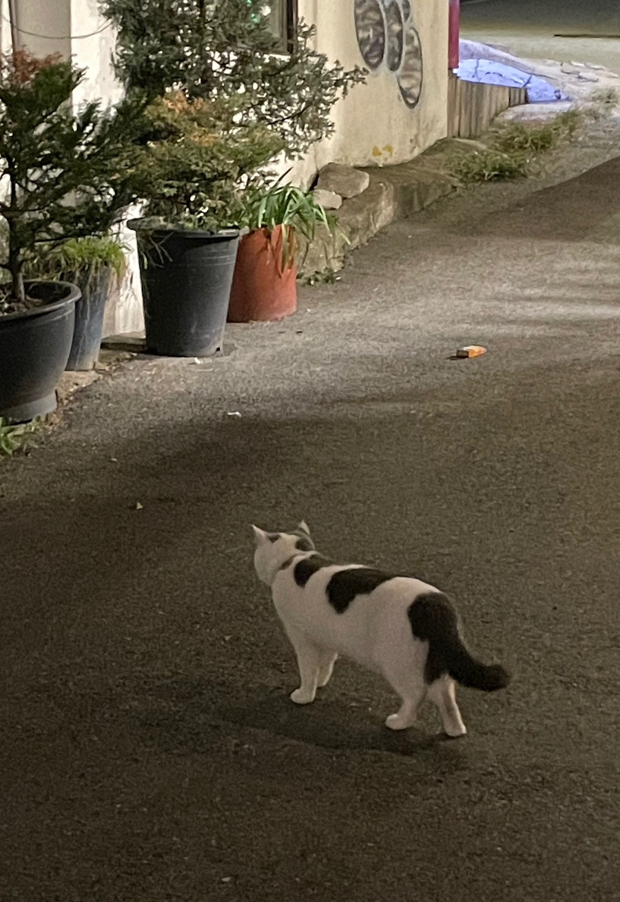 홍담마라탕 이미지
