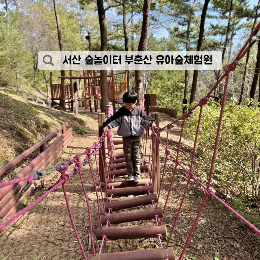 부춘산 유아숲체험원 이미지