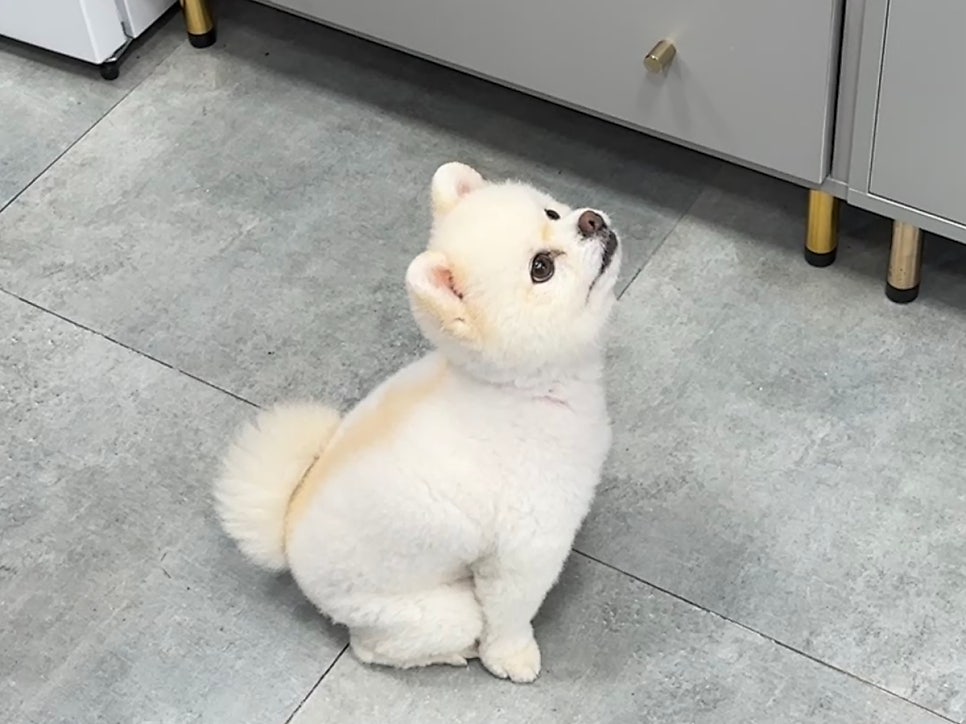 유라임 이미지