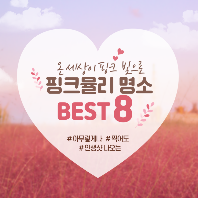 벚꽃뮬리 이미지