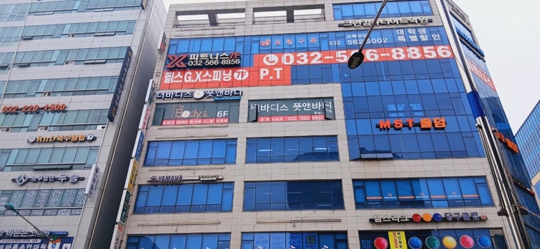 더바디스 이미지