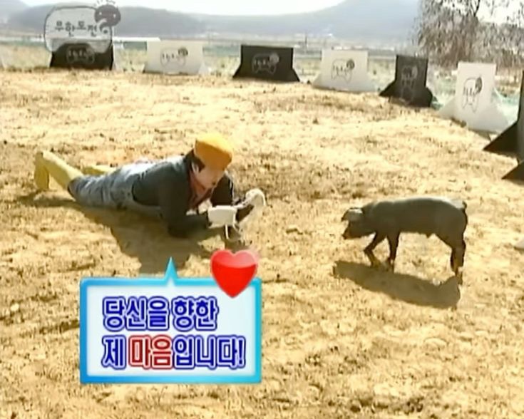 보리사랑 이미지