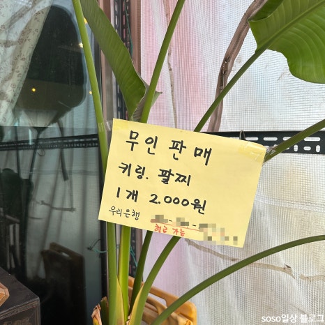 선돈식당 이미지