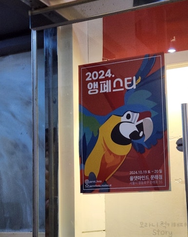 앵페스타 이미지