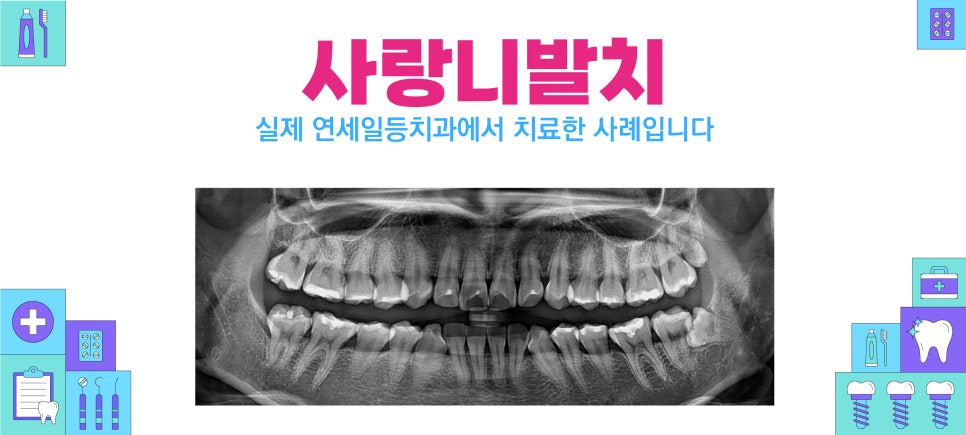 연세일등치과 이미지