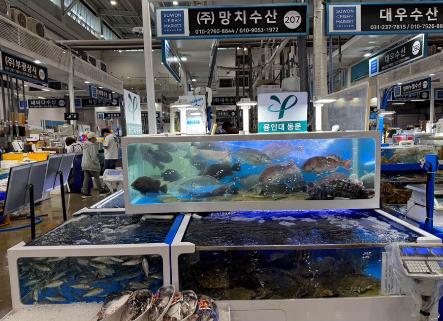 수산한횟집 이미지