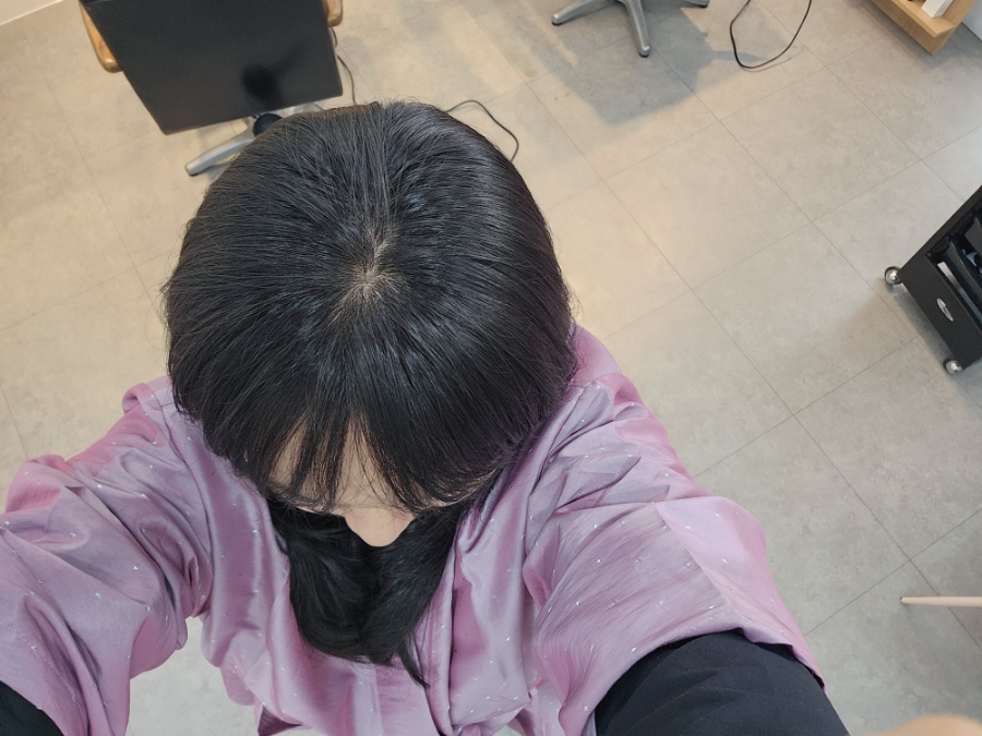 엘샤론 이미지