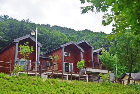 국립운악산자연휴양림 이미지