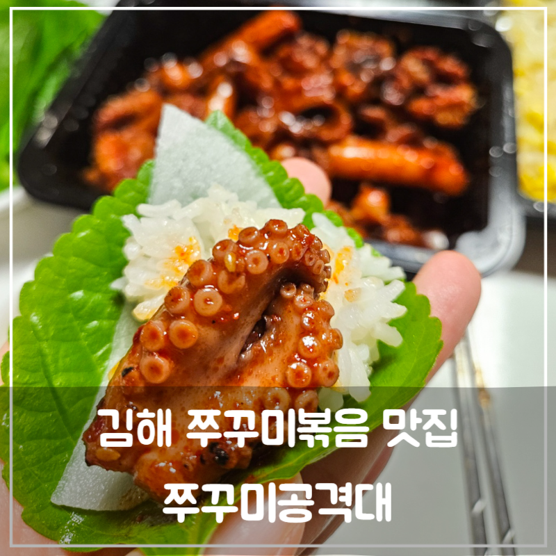 쭈꾸미공격대 이미지