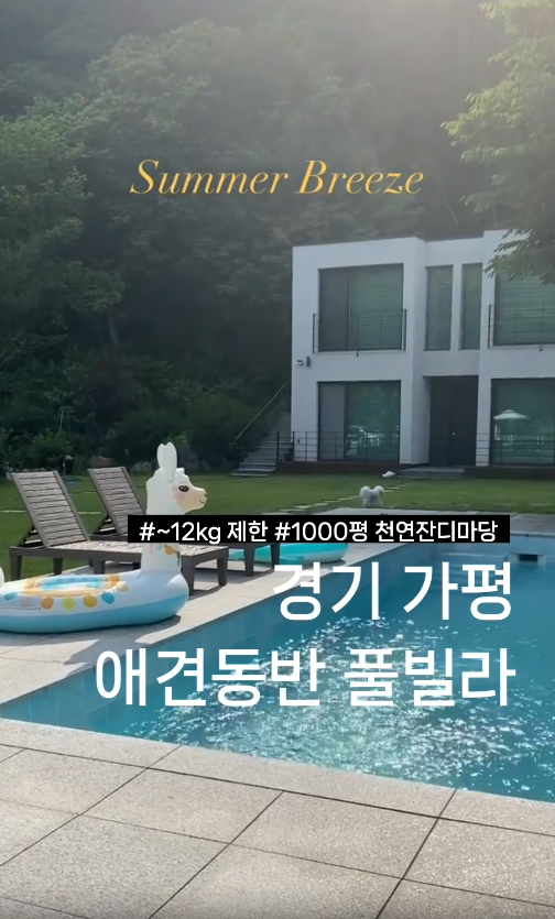도그버디 이미지