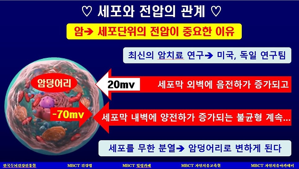 미아미세 이미지