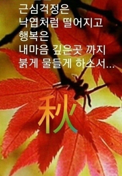 낭만포차한식점심부페 이미지