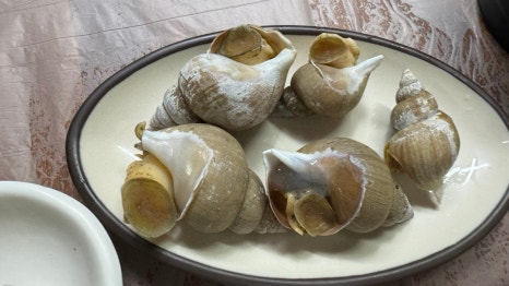 토마토수산시장 이미지