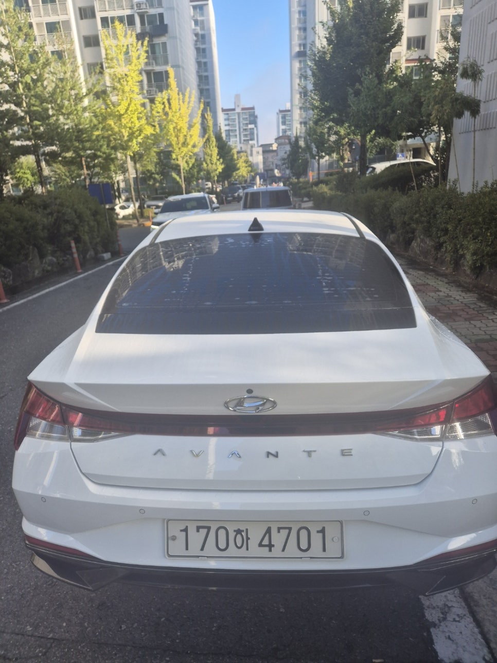 대신렌트카 이미지