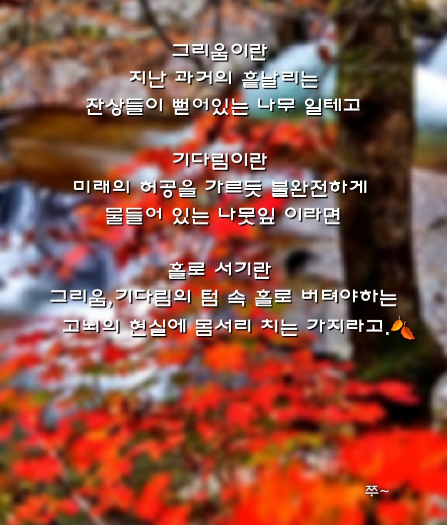 매니아당구장 이미지