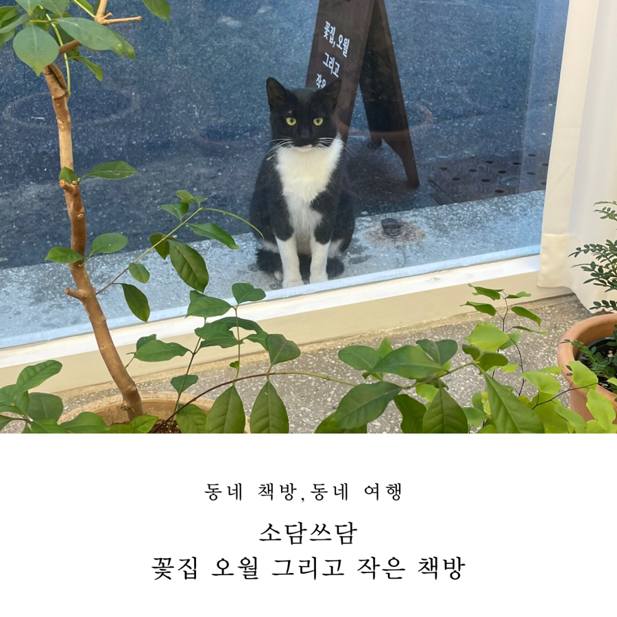 꽃집;오월그리고작은책방 이미지